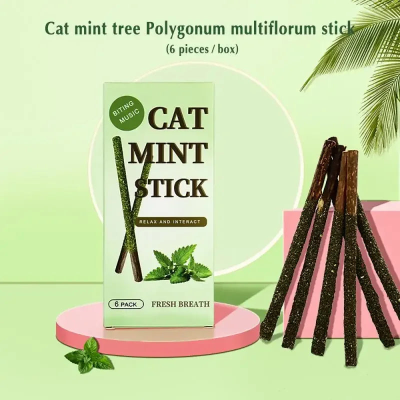 6pcs Natural Matatabi Cat Stick Mint Caught Bite Excited Rods Silvervine For Cat Teeth Cleaning Treating Pet Supply Cat Toys