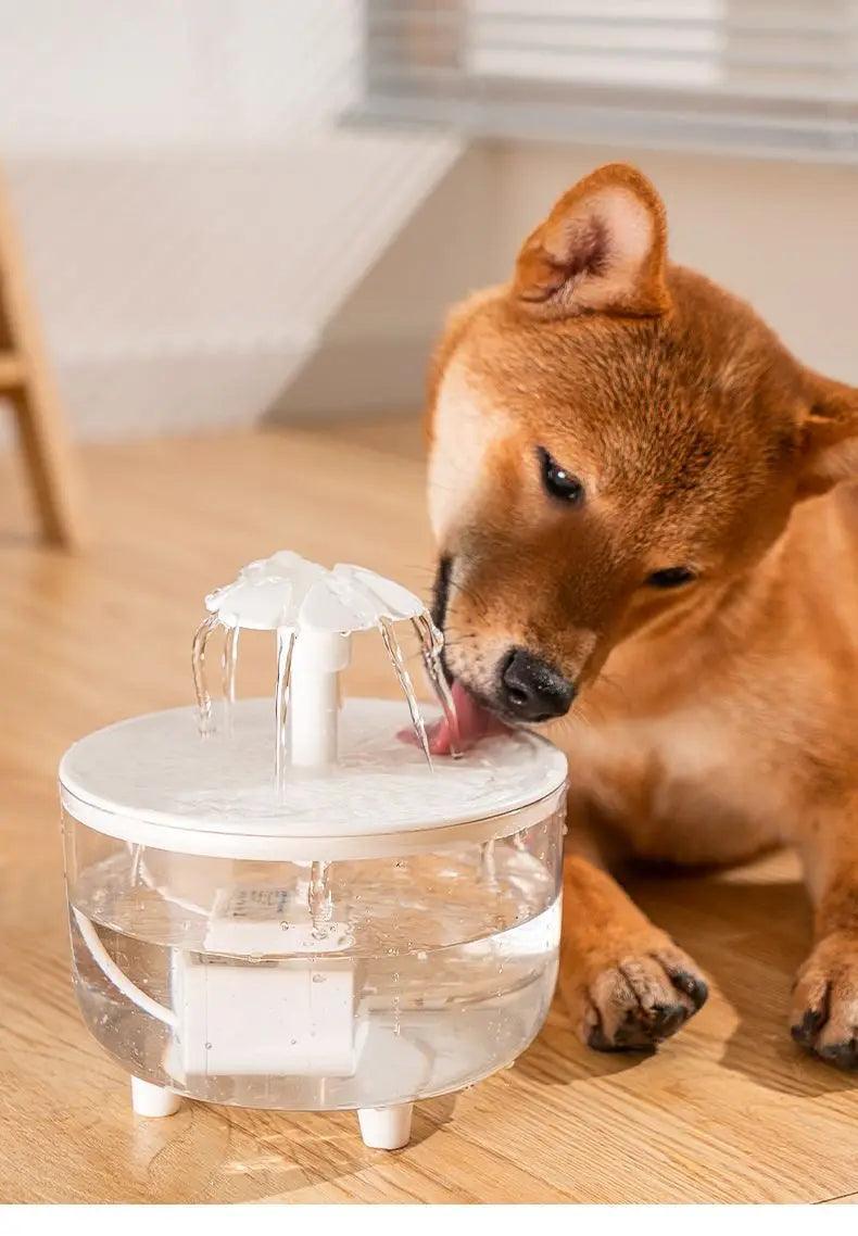 Fonte Bebedor de Água Para Pets - Hidratação Saudável