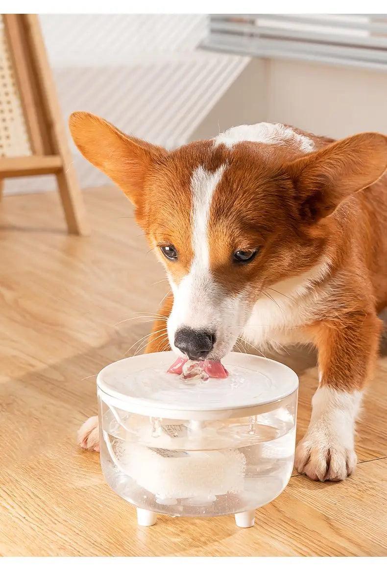 Fonte Bebedor de Água Para Pets - Hidratação Saudável