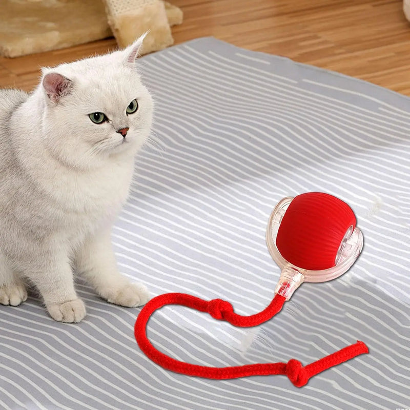 Automatic Rolling Ball Interactive Ball Cat Toys Pet Supplies Electric Dog and Cat Training to Imitate Rat Rechargeable Products